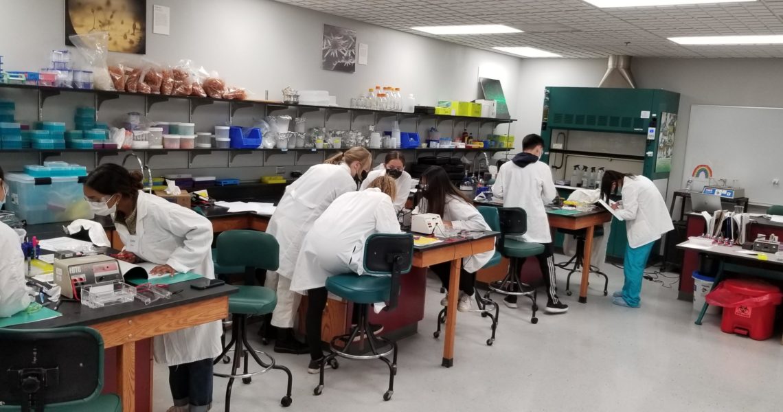 Youth Apprenticeship students in the lab for the 2020/2021 school year.